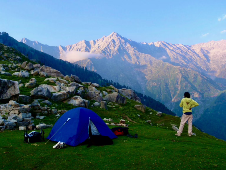 A solo trekker stands near a blue camping tent on lush green meadows during the Triund Trek, with the Dhauladhar mountain range glowing under a clear sky.