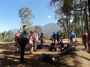 “Group of trekkers stretching in a pine forest with mountains in the background during a trek in Himachal Pradesh.”