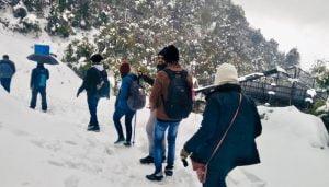 Group of trekkers walking on a snow-covered trail surrounded by pine trees during a winter trek in Himachal Pradesh