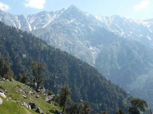 View of the Dhauladhar mountain range with dense alpine forest in Dharamshala
