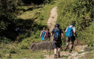 Group of trekkers hiking on a forest trail near Dharamshala, Himachal Pradesh