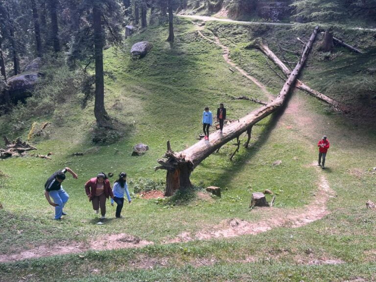 a group of people walking on a fallen tree