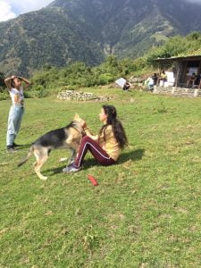 Guest playing with a mountain dog at Leta Village during Dharamsala trek