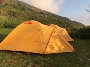 Bright yellow trekking tents set up on a mountain slope in Dharamshala