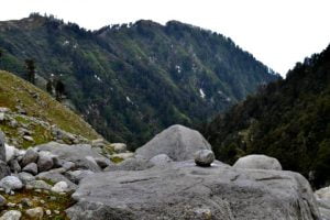 Boulders and pine forest view en route Laka Glacier Trek near McLeod Ganj