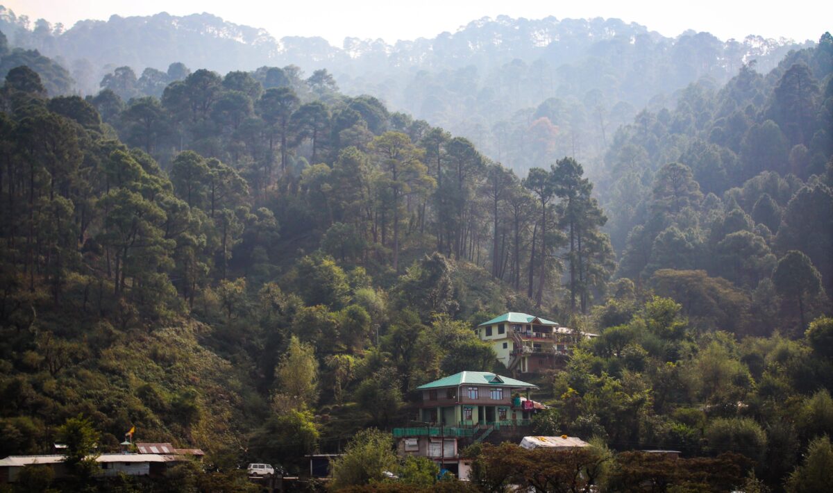 Green-roofed houses nestled in a pine forest with misty mountain backdrops in Dharamsala, Himachal Pradesh.