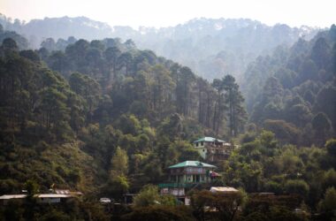 Green-roofed houses nestled in a pine forest with misty mountain backdrops in Dharamsala, Himachal Pradesh.