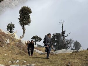 Trekker walking through pine forest on the Gaj Pass trail near Dharamshala