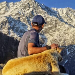 Thatharana campsite overlooking Dhauladhar mountain range near Dharamshala