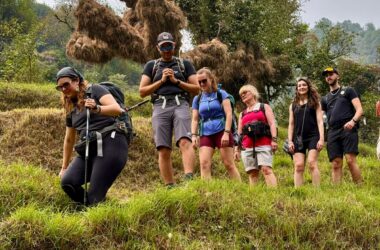 Group of trekkers walking through lush green fields in Himachal Pradesh with pine trees and hills in the background