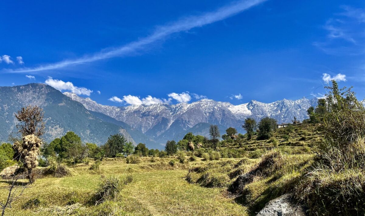 Scenic View of the Dhauladhar Mountains from a Dharamshala Trek