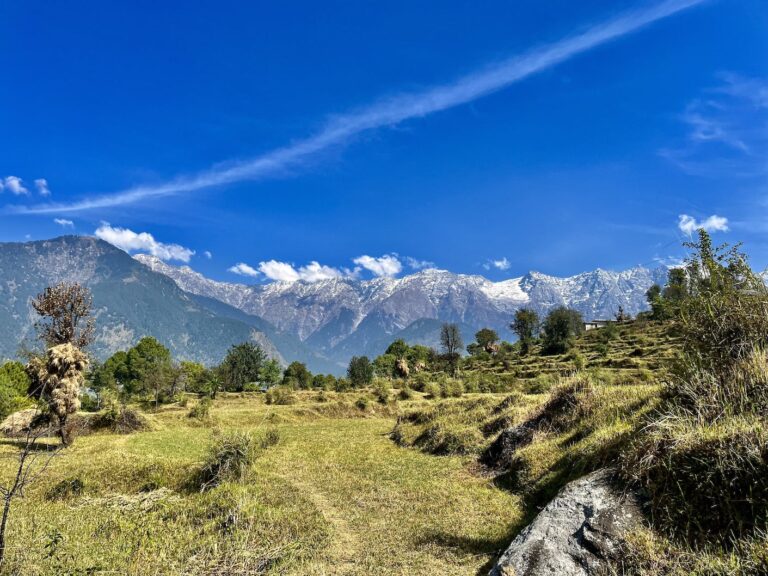 Scenic View of the Dhauladhar Mountains from a Dharamshala Trek