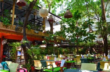 Outdoor seating area at a vibrant cafe in Dharamshala surrounded by greenery