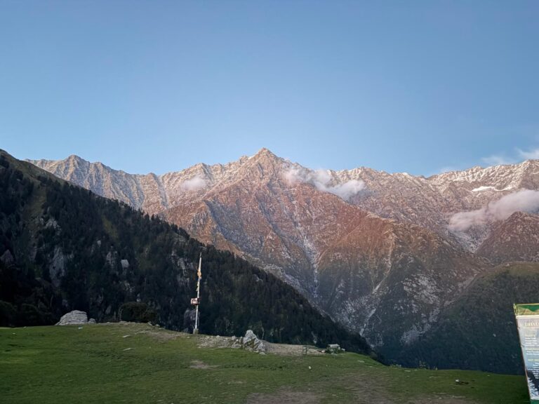 Green meadow at Triund beneath snow-dusted Dhauladhar peaks and a blue sky
